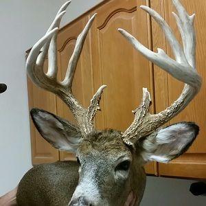 Meet your Posher, Cj